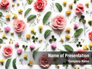 Colored Flowers in Flat Design