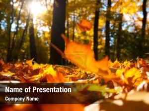 Falling Leaves PowerPoint Template