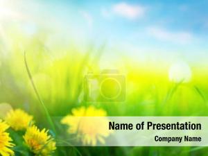 Spring Abstract PowerPoint Template