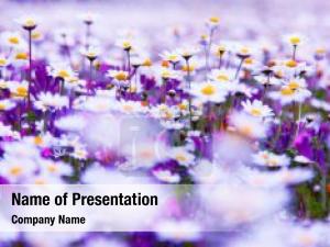Spring Background PowerPoint Template