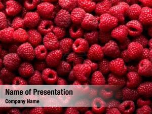 Red Raspberry