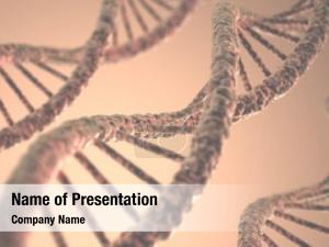 Genes In DNA PowerPoint Template