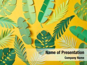 Tropic