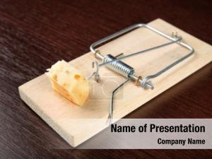 Mouse Trap