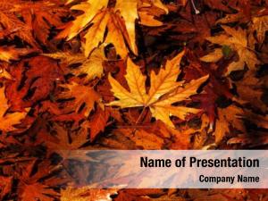 Autumn Leaves and Glow PowerPoint Template
