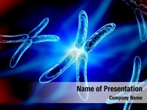 X Chromosome PowerPoint Template