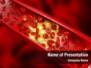 Inside the Circulatory System PowerPoint Template