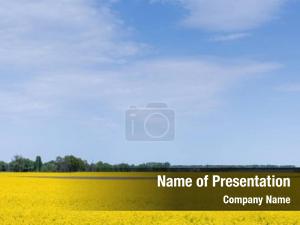 Wildflowers Field PowerPoint Template