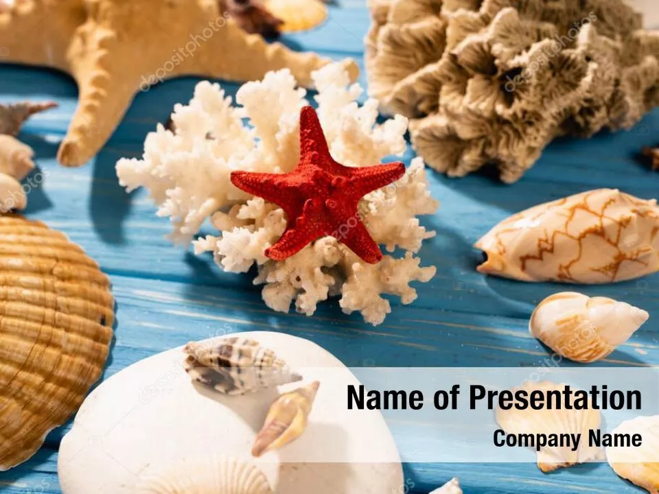 Starfish with Shells