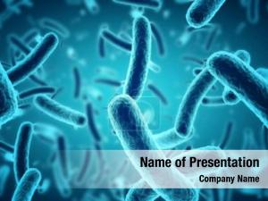 Bacteria Cell PowerPoint Template
