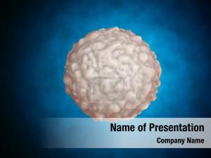 White Blood Cell PowerPoint Template