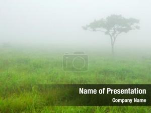 Solitary Tree PowerPoint Template
