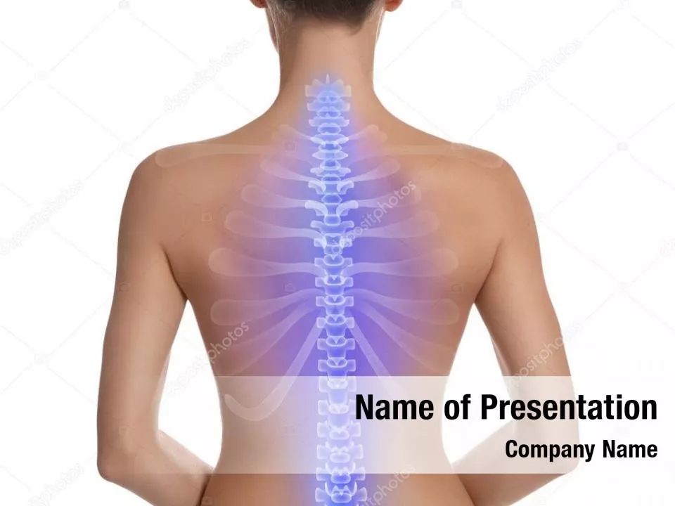 Female Spine Anatomy