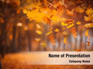 Falling Leaves Border Frame