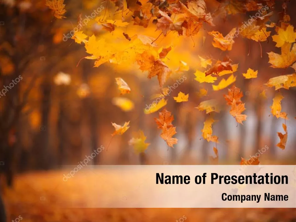 Falling Leaves Border Frame