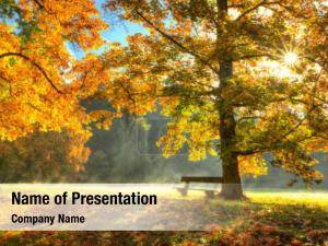 Yellow Tree In The Sunset In The Autumn PowerPoint Template