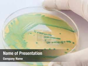 Bacteriology