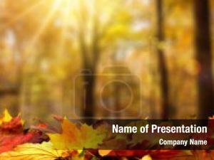Fall Leaves Border Frame PowerPoint Template