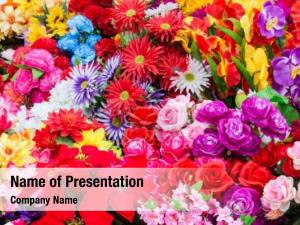 Variety of Flowers PowerPoint Template