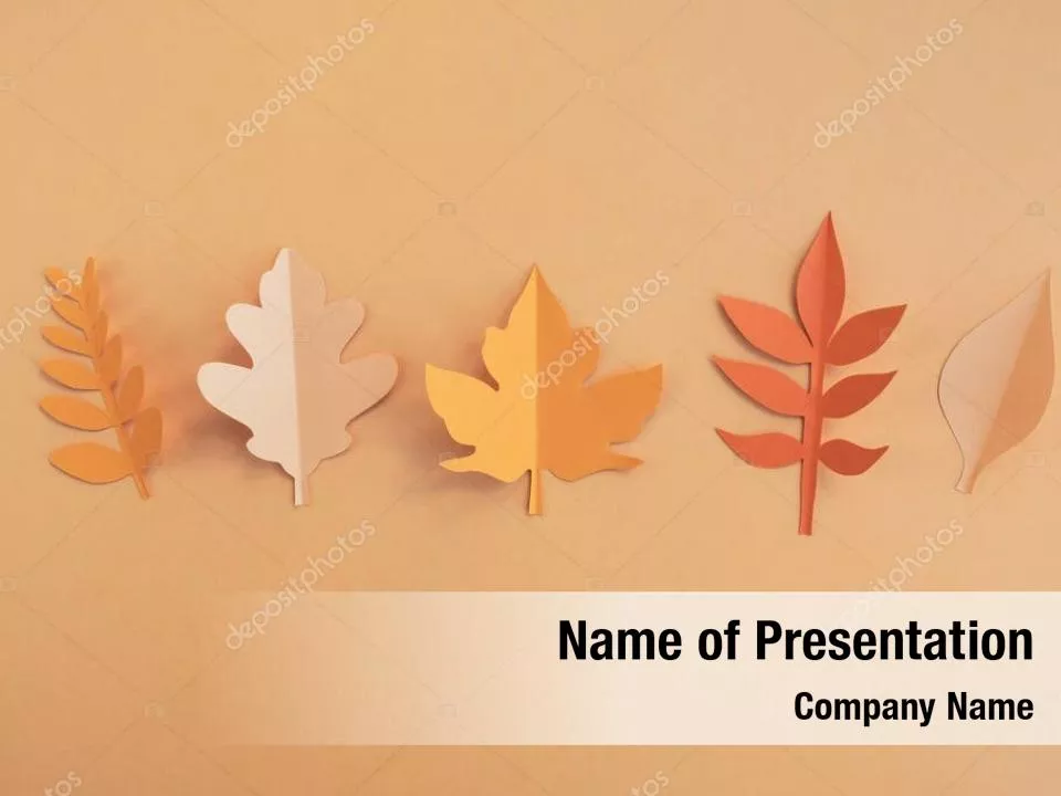 Paper Leaf on Orange Background