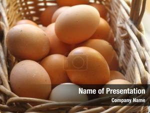 Egg PowerPoint Template