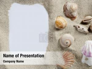 Sea Shells and Blank Frame PowerPoint Template