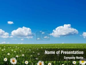 Grass and Flowers PowerPoint Template