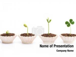 Stages