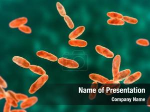 Bacillus