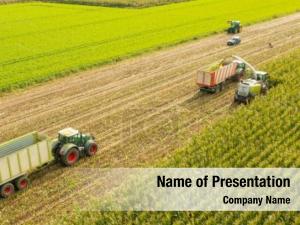 Harvest Time PowerPoint Template