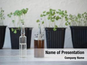 Plant Breeding