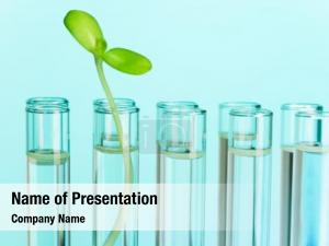 Study Of Natural Sciences PowerPoint Template