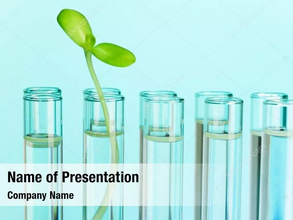 Study Of Natural Sciences