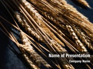 Spikelets