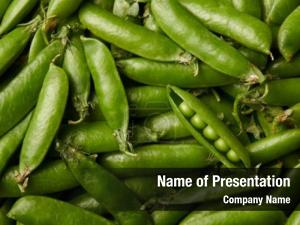 Pea Pods PowerPoint Template