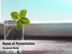 Quatrefoil PowerPoint Template