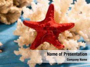 Starfish Background PowerPoint Template
