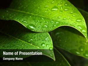  PowerPoint Template