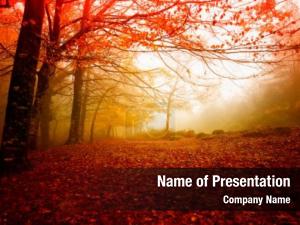 Autumn Woods PowerPoint Template
