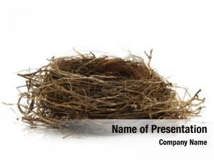 Bird's Nest PowerPoint Template