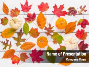 Autumn Pattern PowerPoint Template