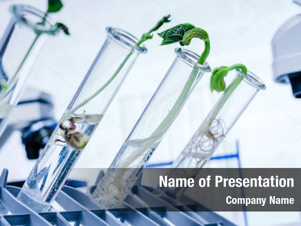 Green Plant Breeding