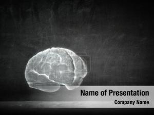 Brain In Gray