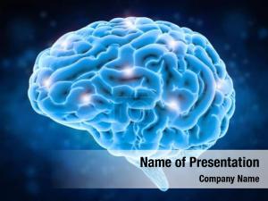 Cerebral Cortex