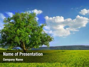 Lonely Tree PowerPoint Template