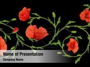 Flower Ornament PowerPoint Template