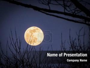 Yellow Moon PowerPoint Template