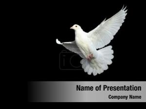 White Dove PowerPoint Template