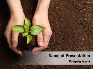 New Sprout PowerPoint Template