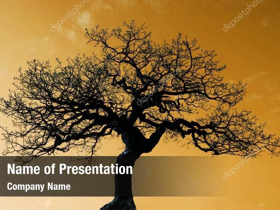 Silhouette Of Tree On The Yellow Background